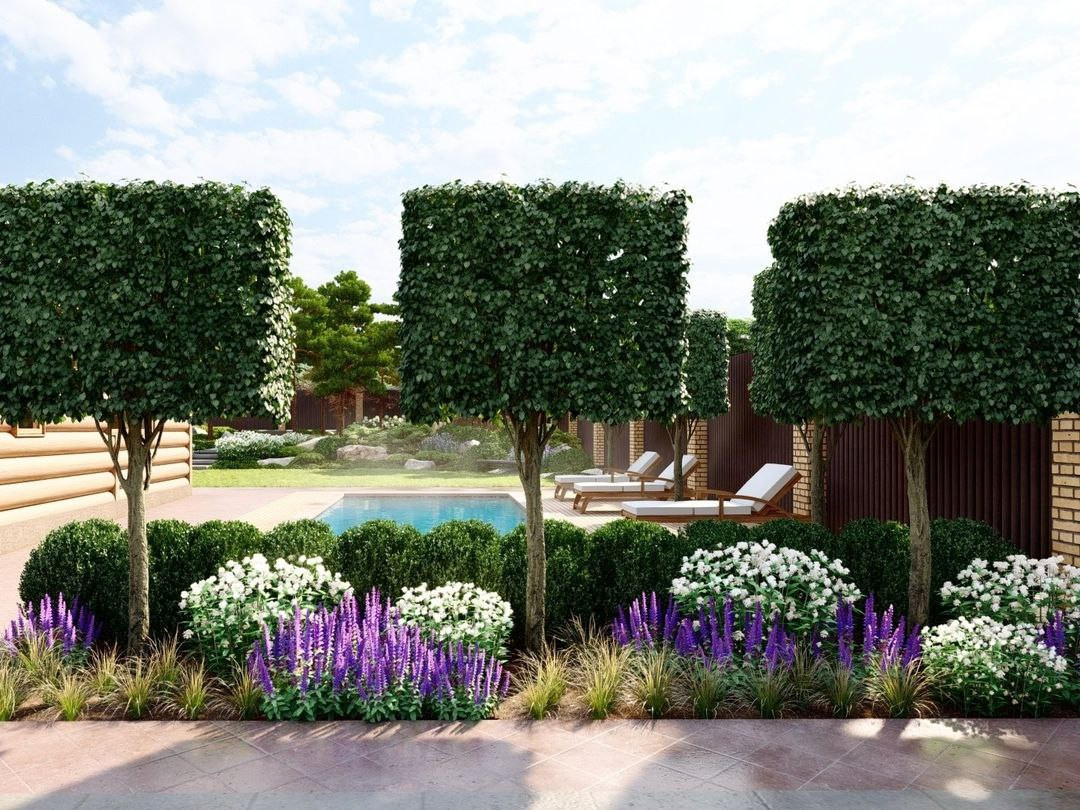 ВИЗУАЛИЗАЦИИ