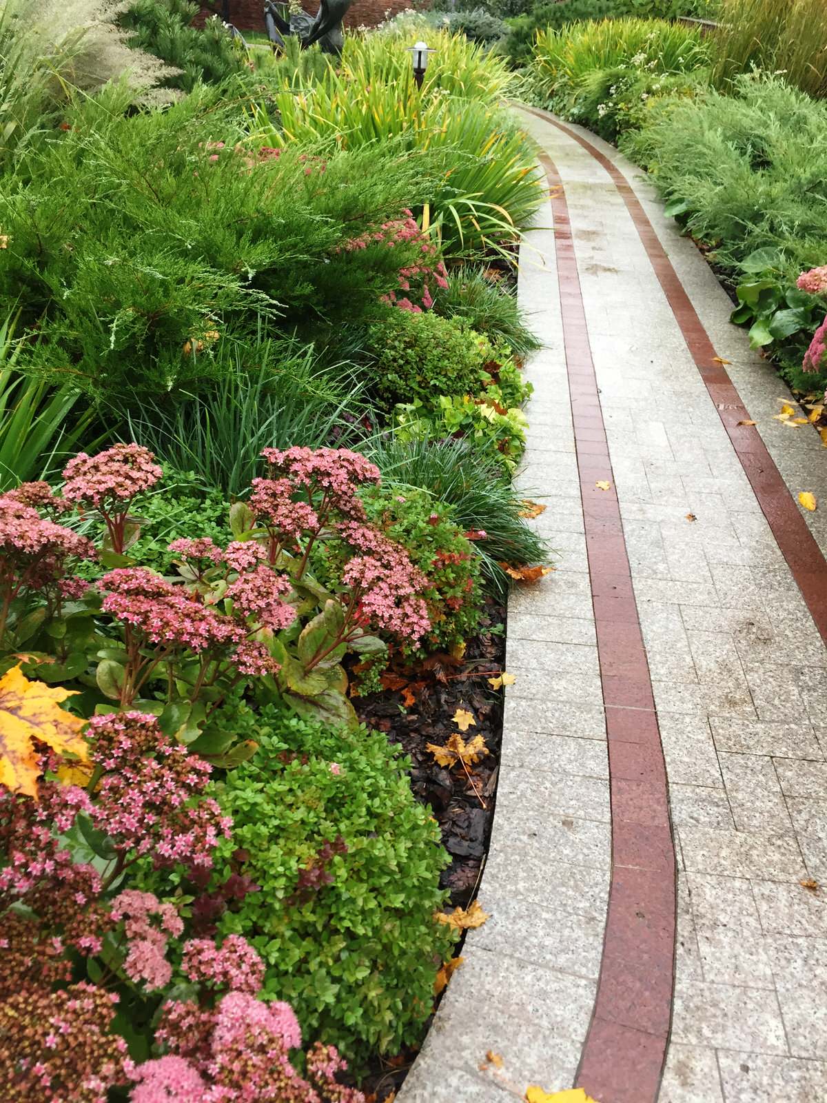 Елена Беляева