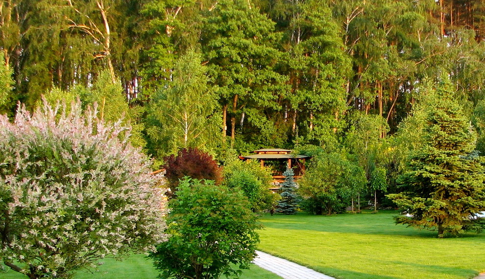 Японский сад