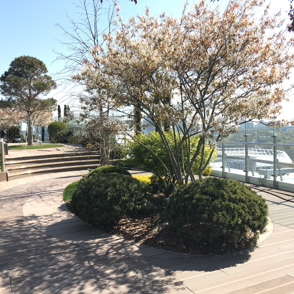 Парк на крыше жилого высотного здания.