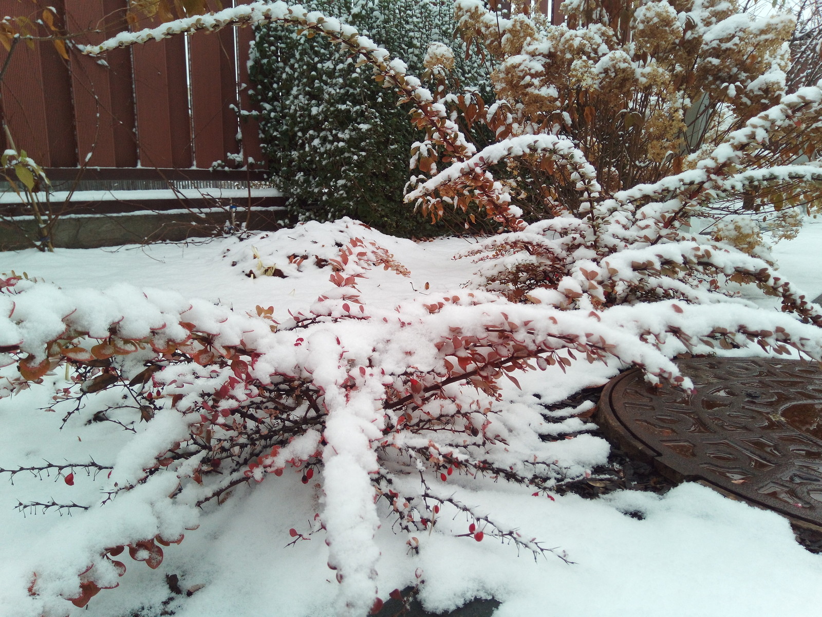 кп "Мартемьяново" - Профессиональный уход за садом - 100% качество!