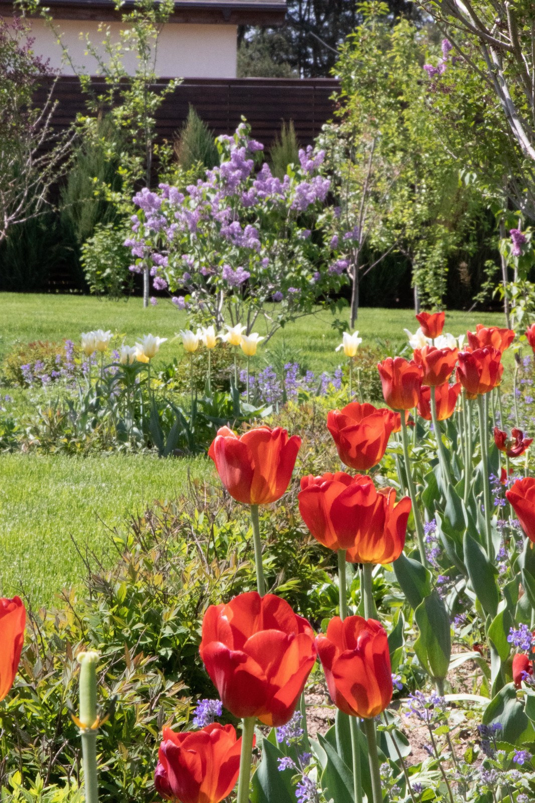 Сосновые берега