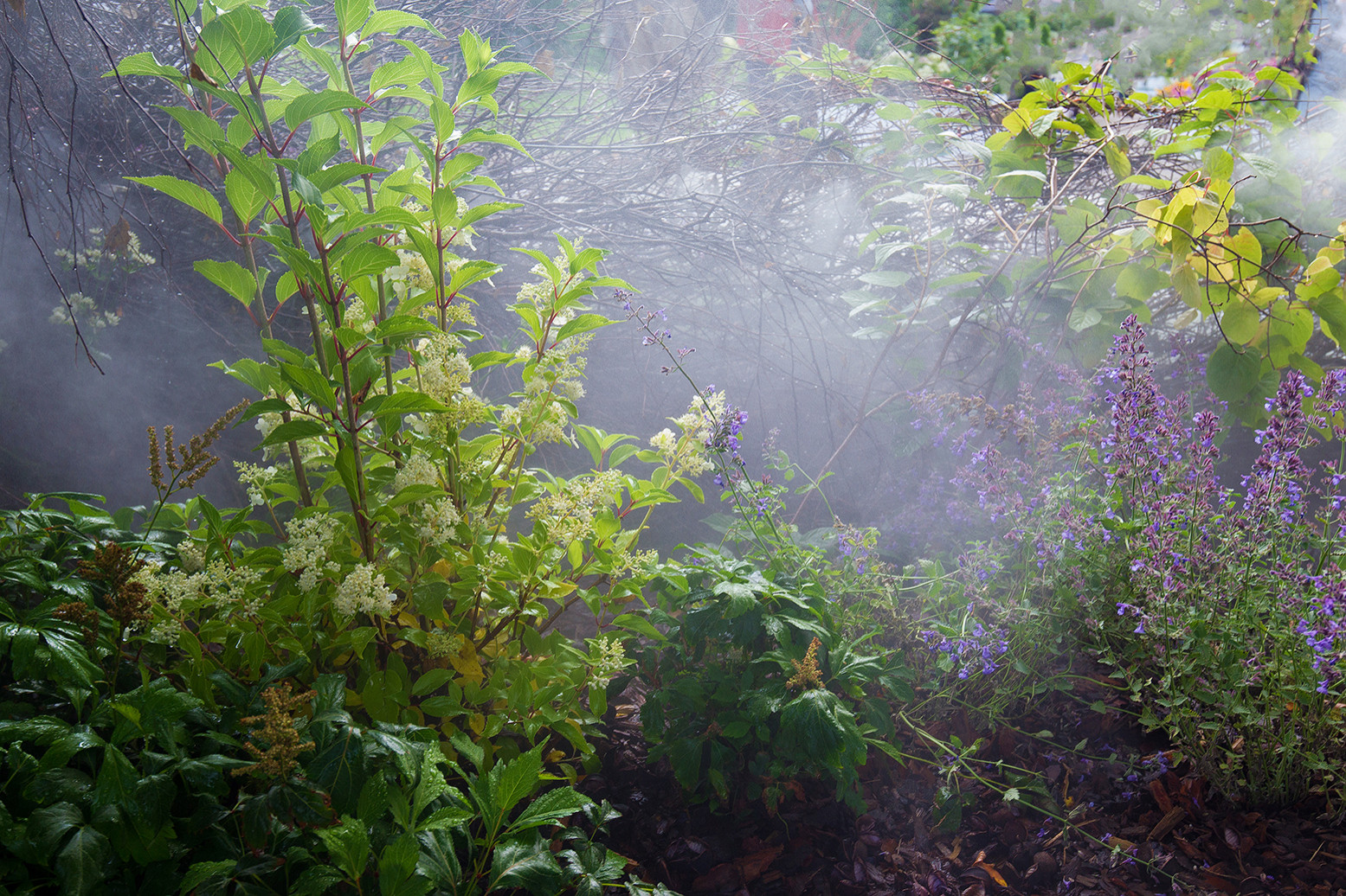 Фотосъемка Сада   по  Метрелинку на MFS 2019 Авторы М,Береснева М. ПРИНТЦ
