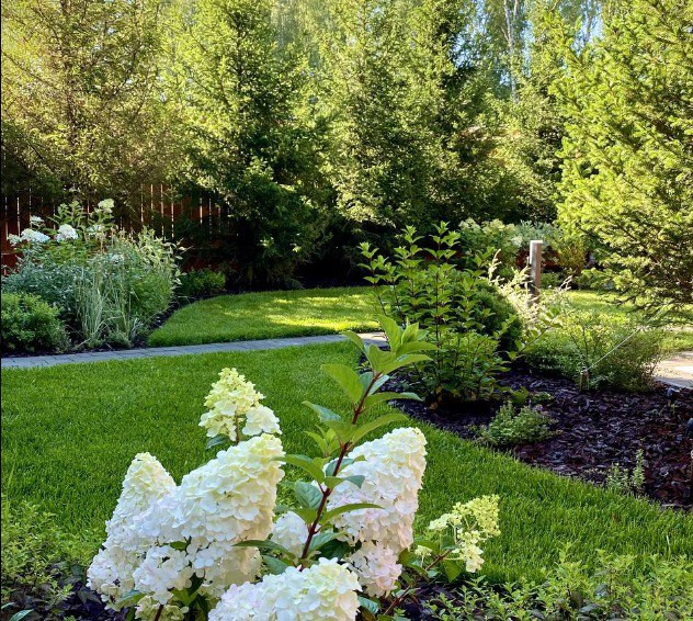 Обложка проекта: Ландшафт Таунхауса - Мелодия