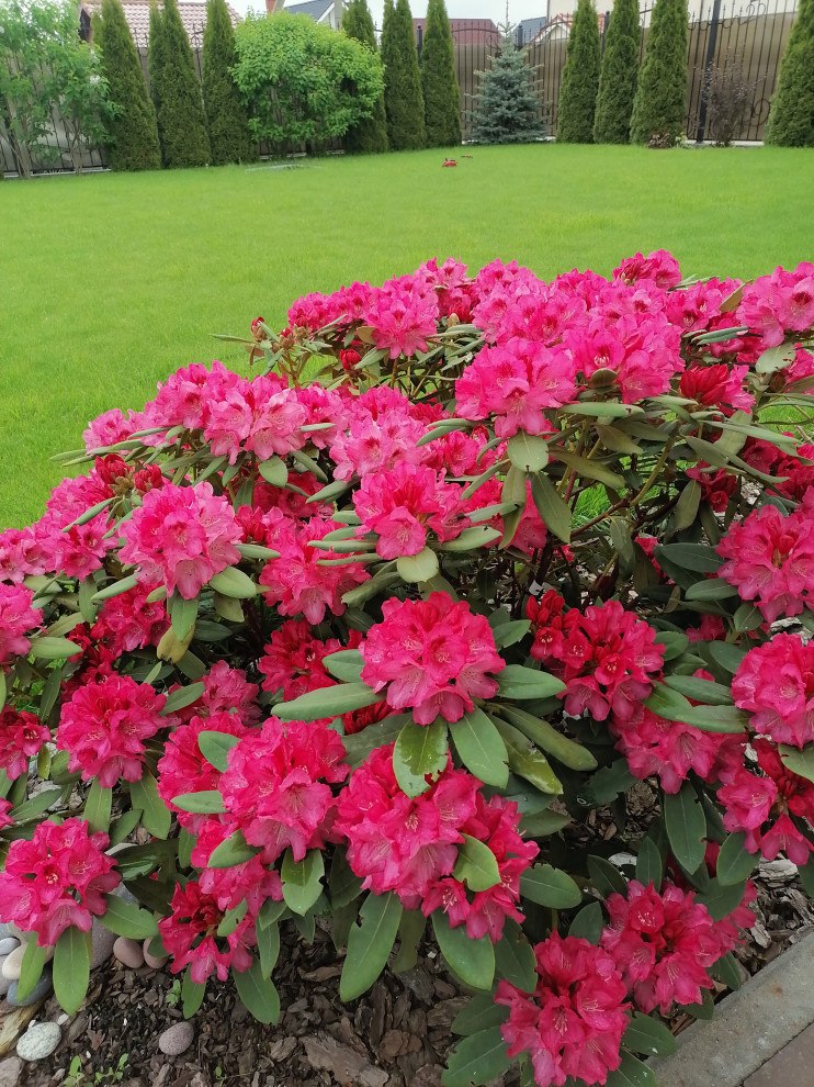 Подборка фотографий