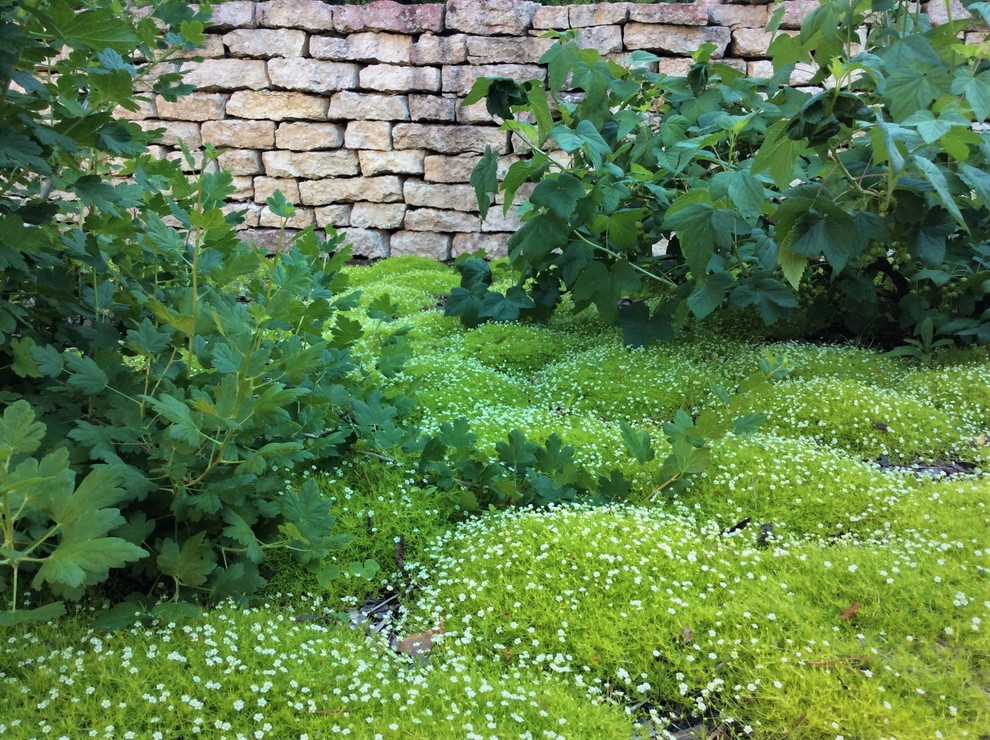 Полет Шмеля 2