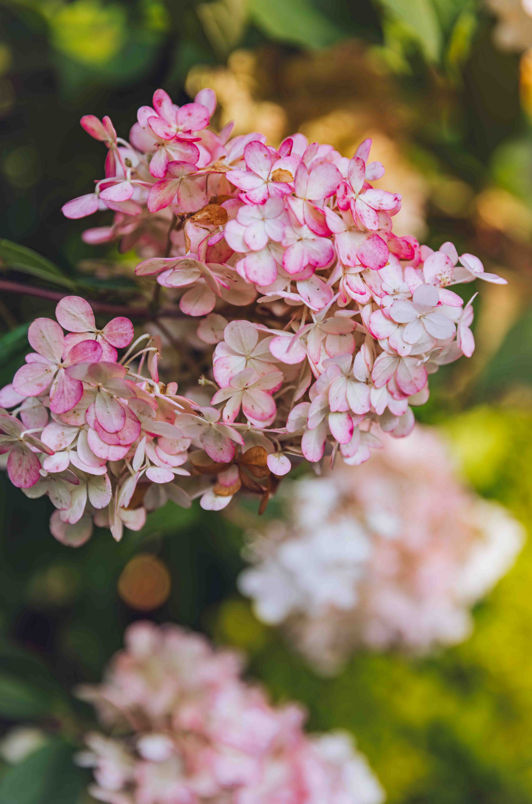 Архитектурное Решение в Пейзажном Стиле