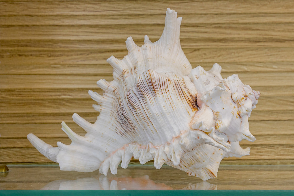 "Палитра тишины"