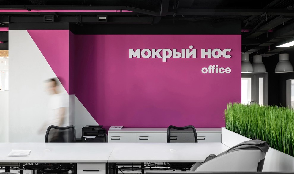 Офис "Мокрый нос"