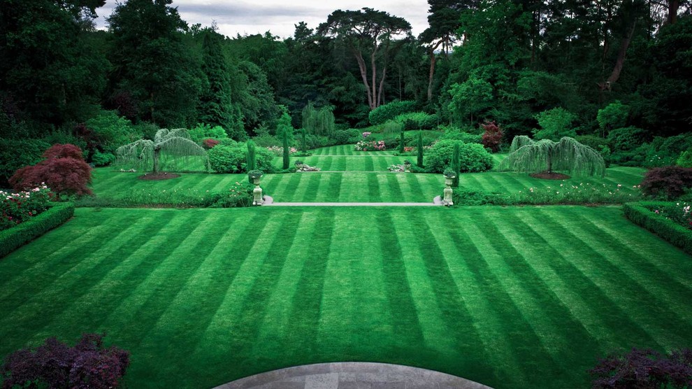 Суррей Времена Года