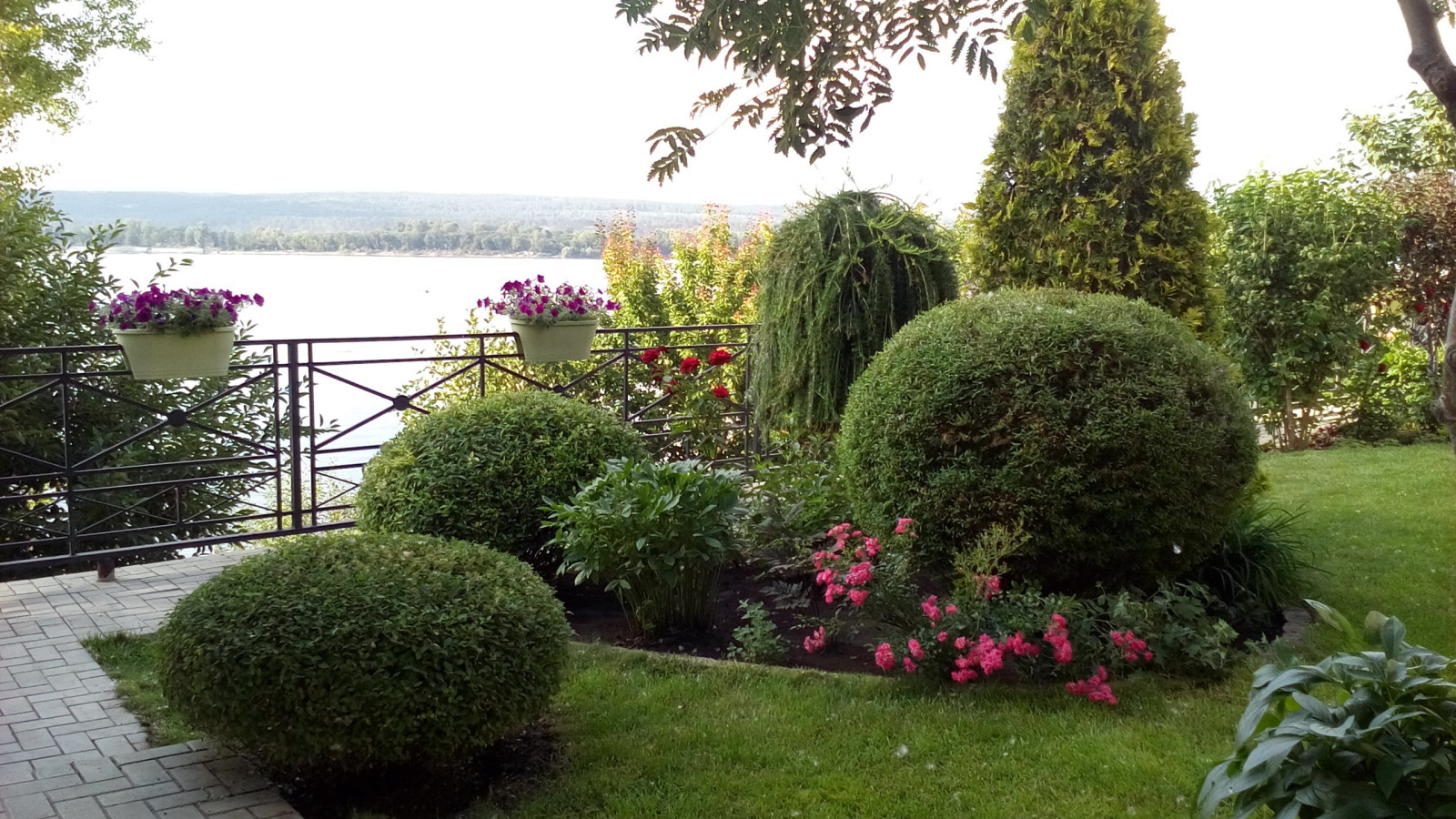 Обложка проекта: «Сад у Волги»