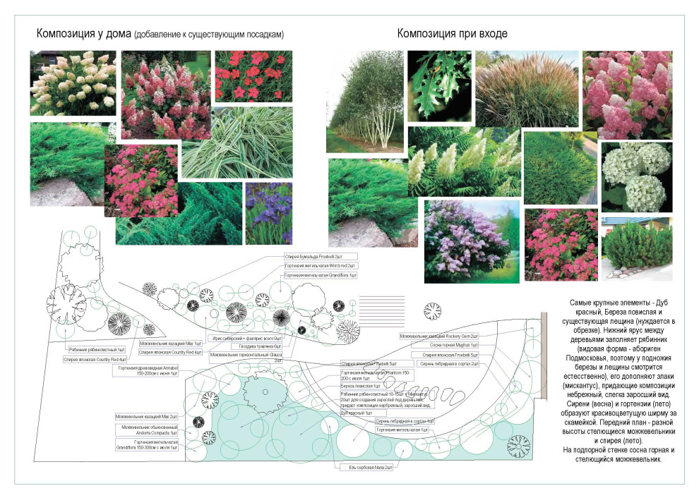 Дендрологический план. Фрагмент.