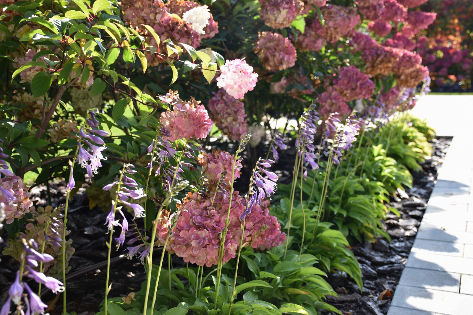 Игра в геометрию