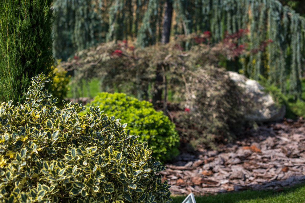 Ландшафтный Дизайн Олимпийский Сочи