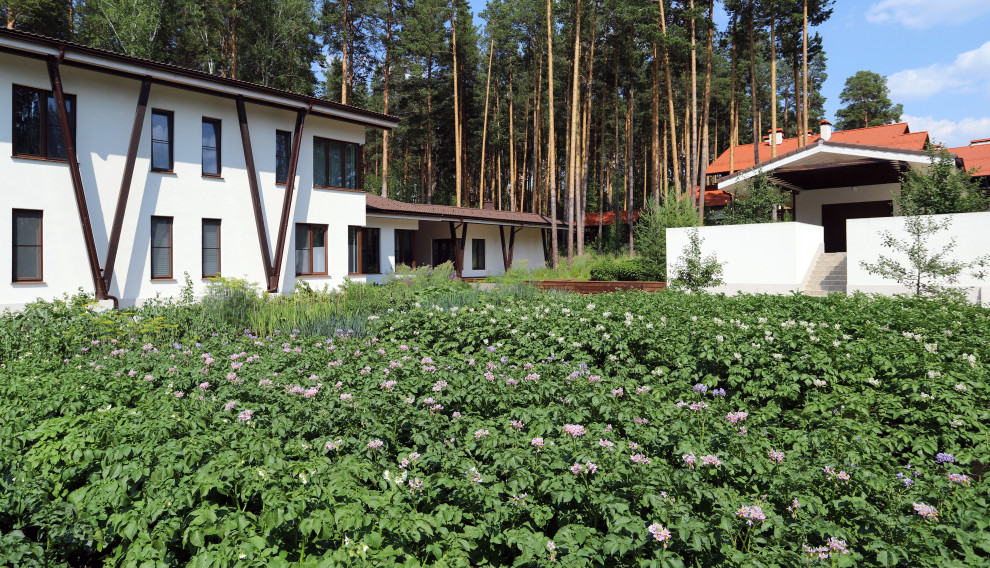 Лес и огород