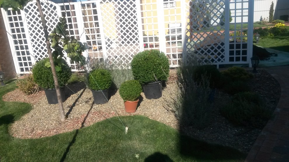 В клумбу с розами и лавандой добавили россыпь шаров из самшита