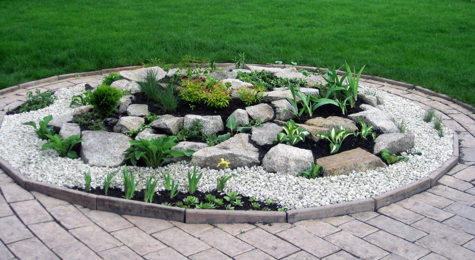 Цветники и композиции