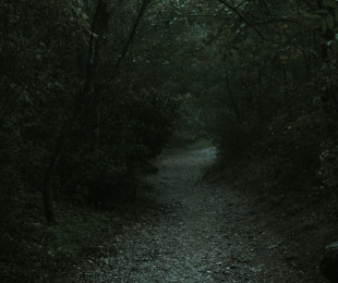 Фото профиля Дженни