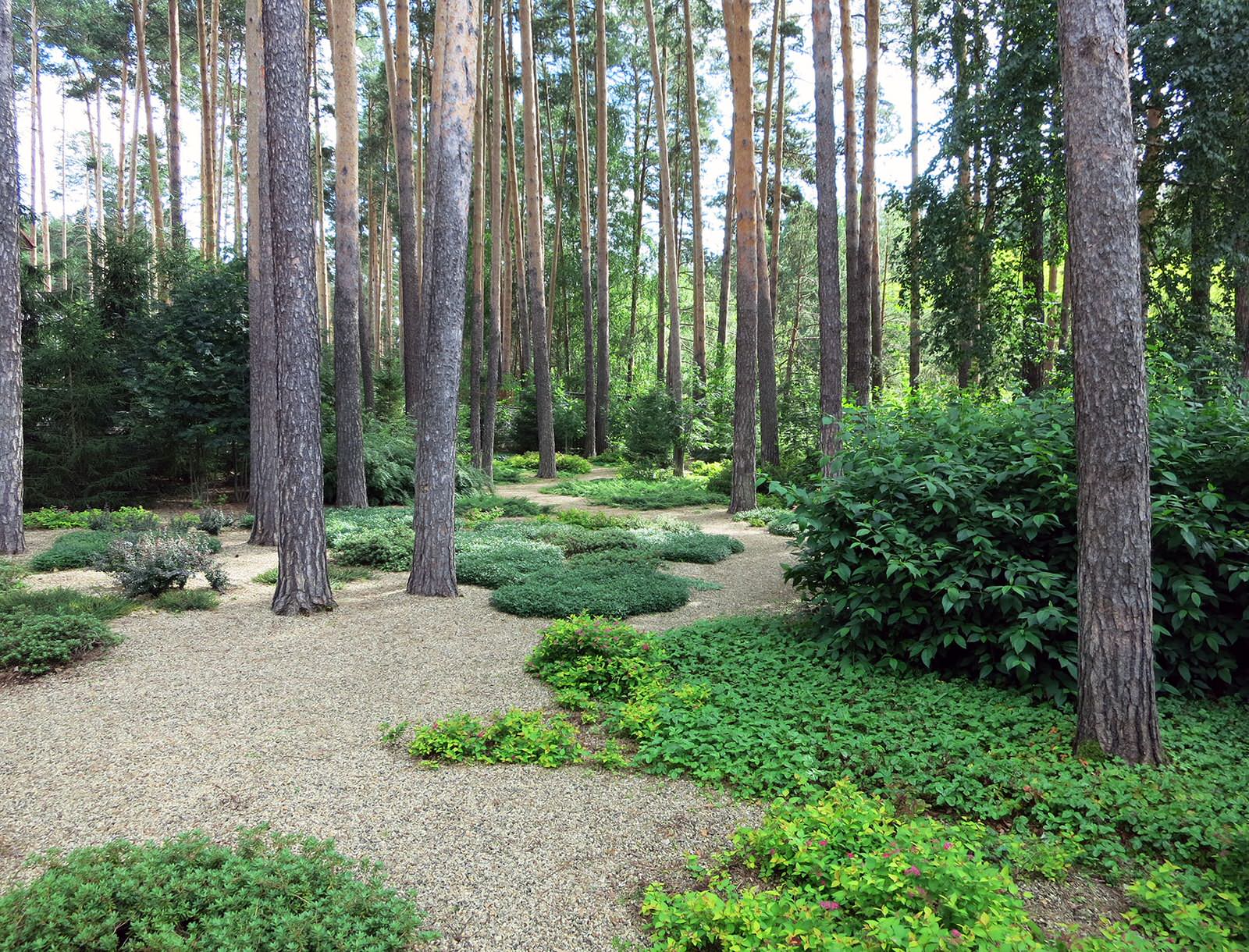 Лесные дорожки, явные и неявные