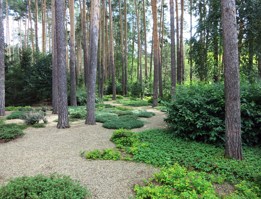 Лесные дорожки, явные и неявные