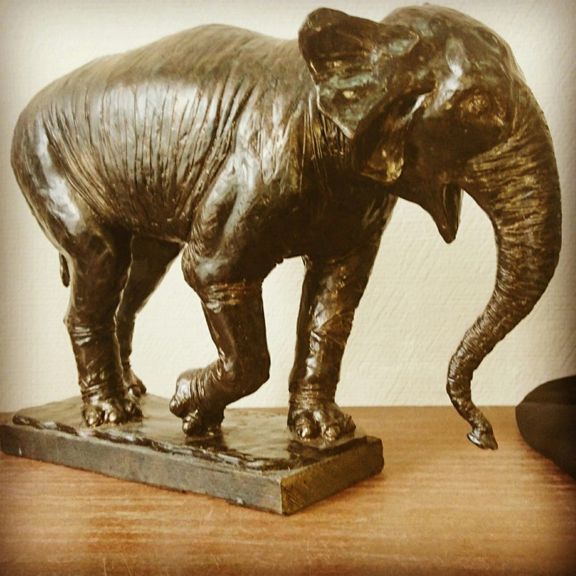 Обложка проекта: Животные