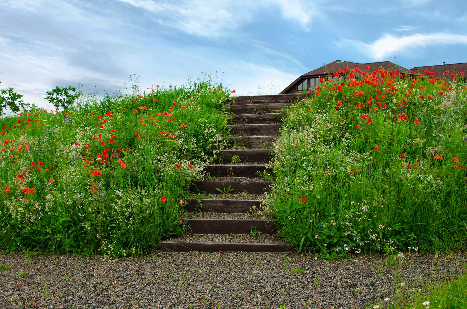 Алтайская усадьба