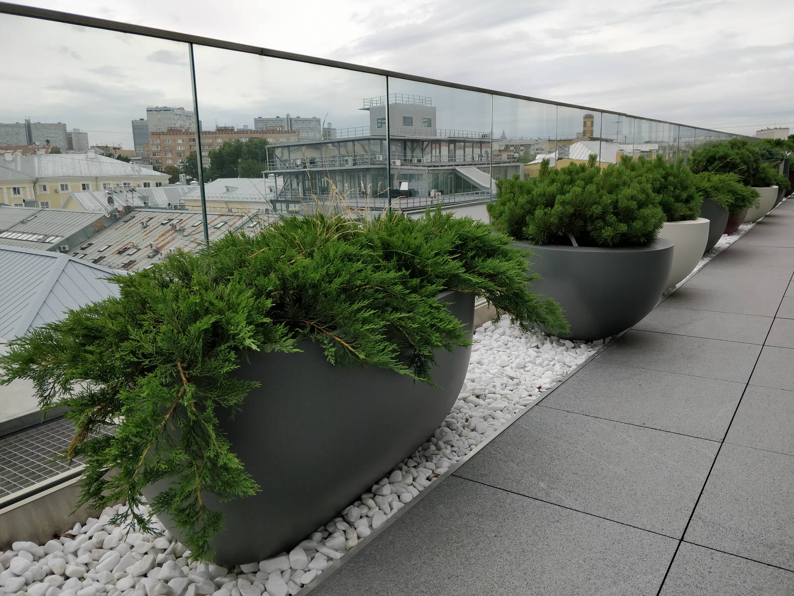 Озеленение крыши в центре Москвы
