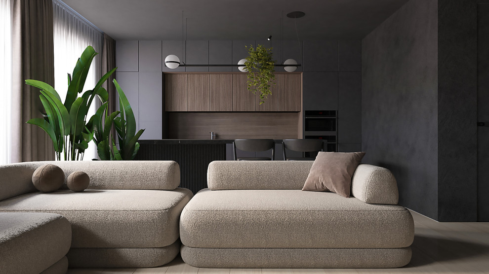 проект кухни-гостинной