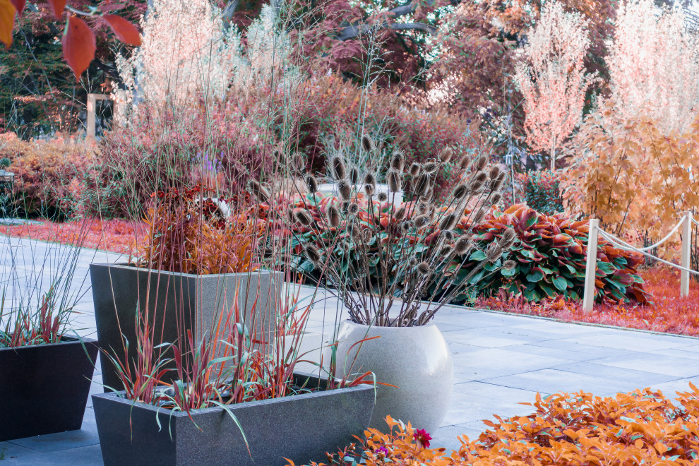 Обложка проекта: Частный сад 6