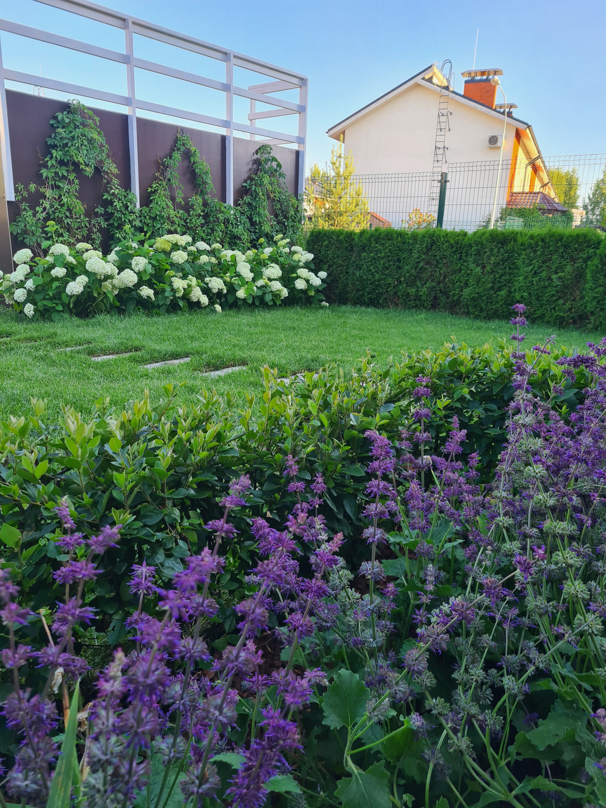 Сад с рампой для скейтборда