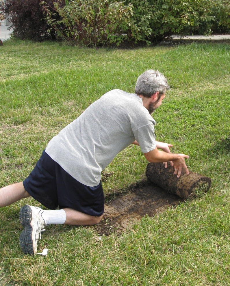 Садовый тайм-менеджмент: Планируйте сад будущего года