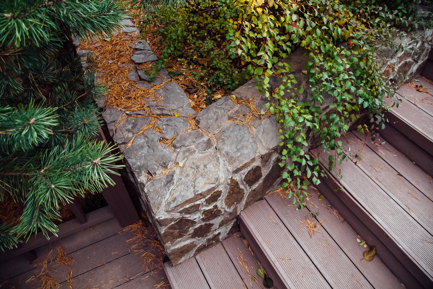 Хвойный переулок