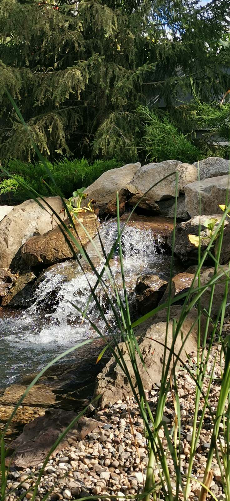 Декоративный пруд