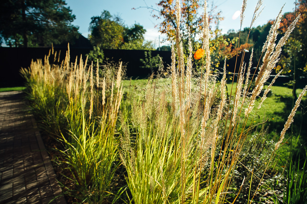 Русские Забавы