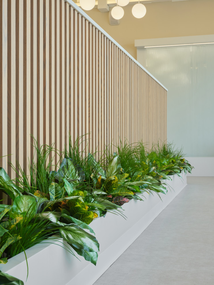 Обложка проекта: Офис