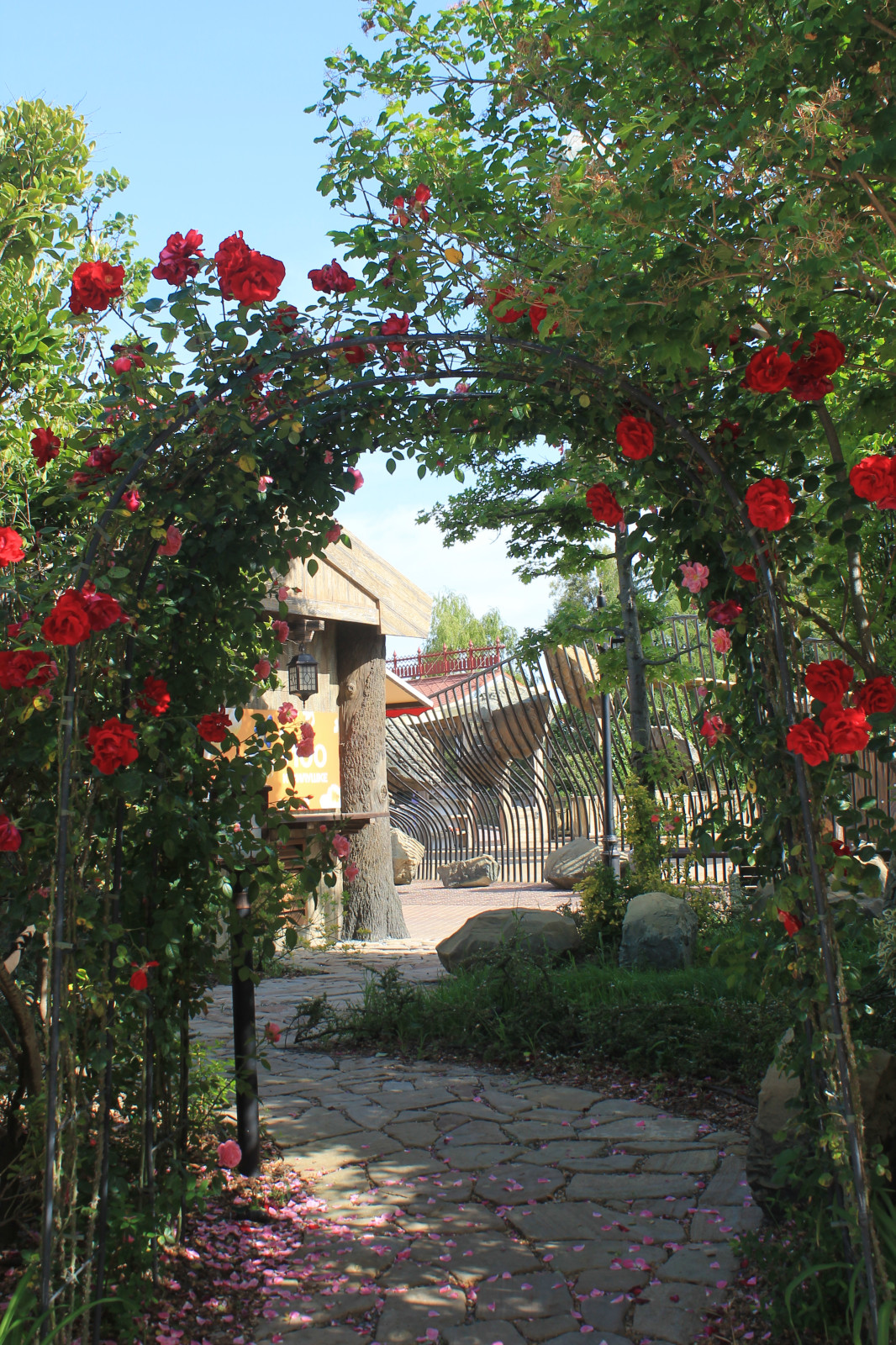 Парк аттракционов "Сочи парк"