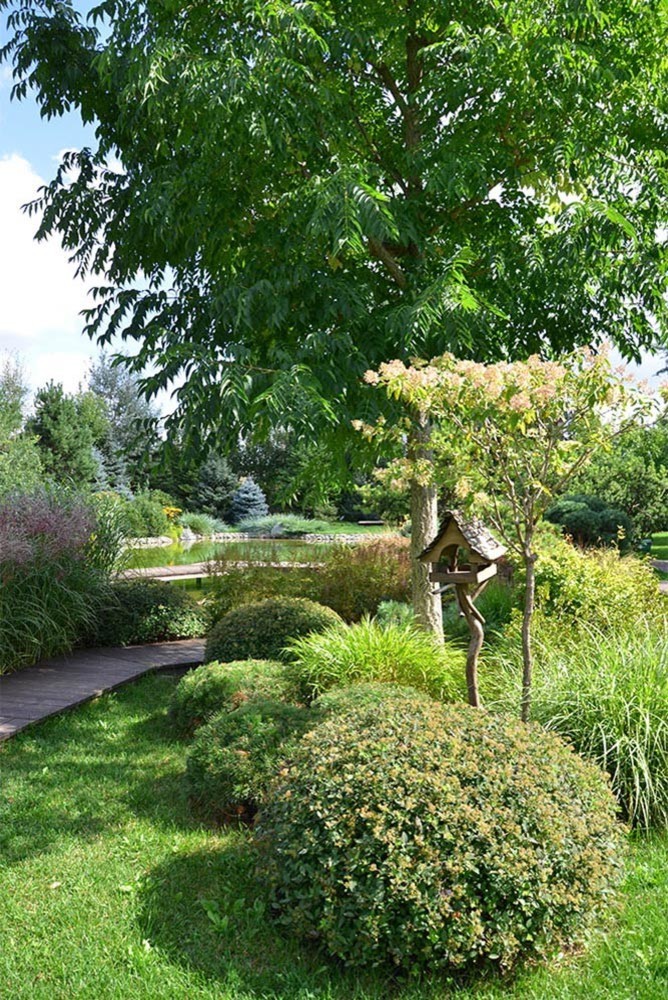 Ландшафтный сад с прудом в КП "Европа"