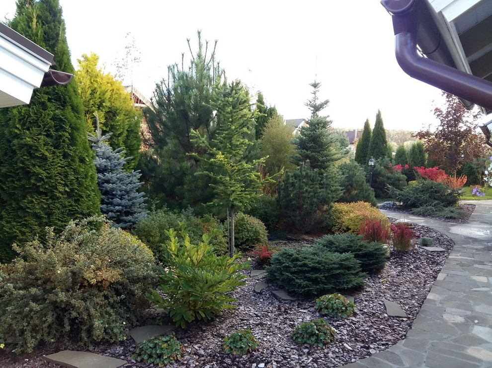 Витро Кантри