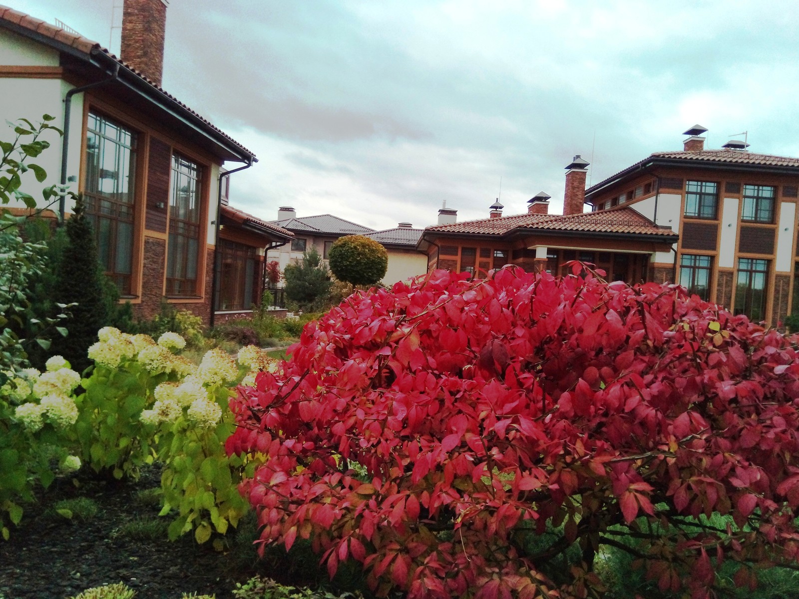 кп "Милениум" - Профессиональный уход за садом - 100% качество!