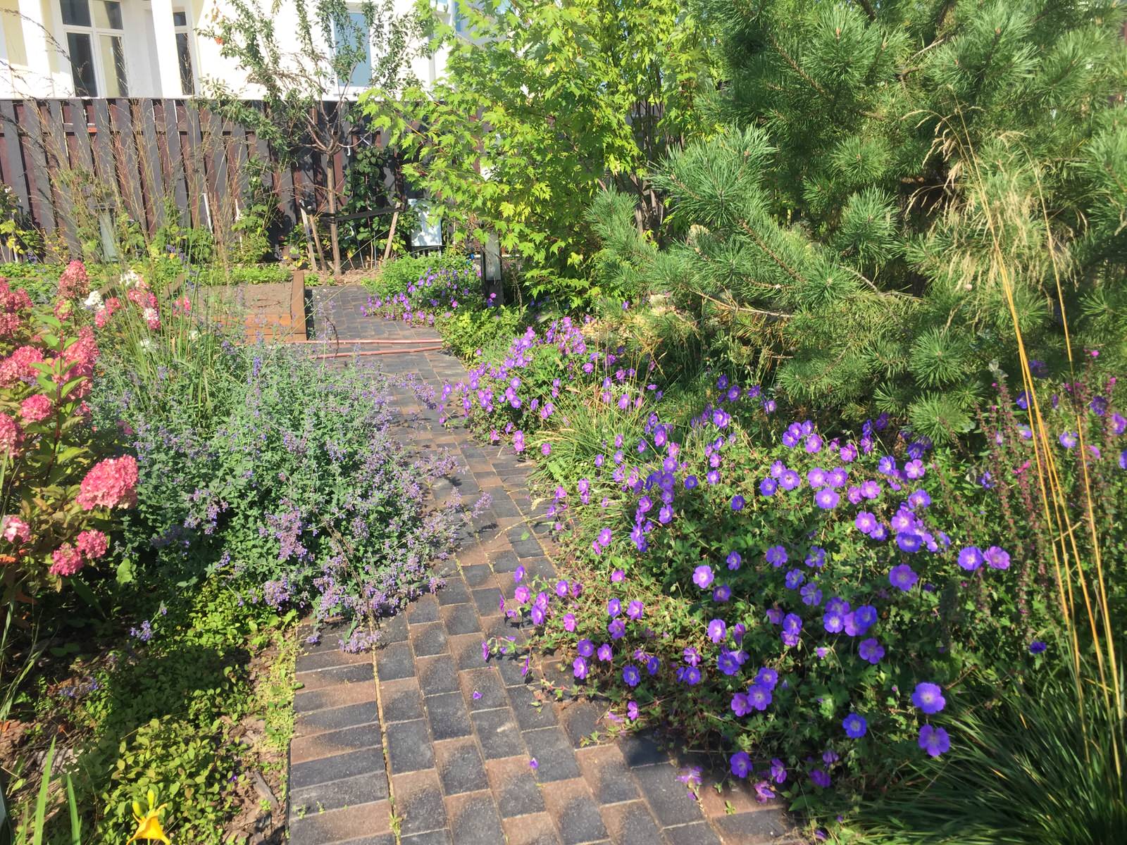 Александрово. Первый год жизни