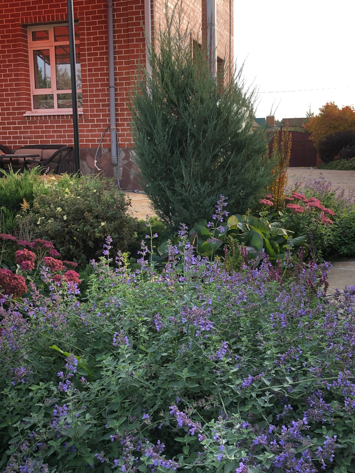 Растительные  композиции в мощении