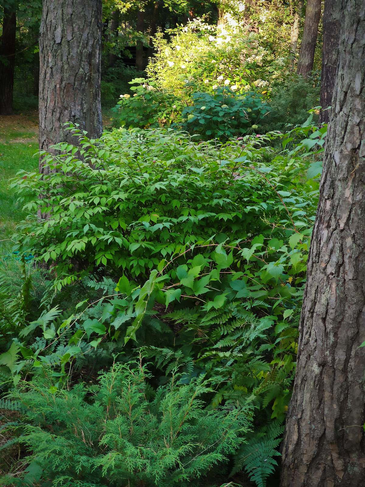 "Дача в Кратово"