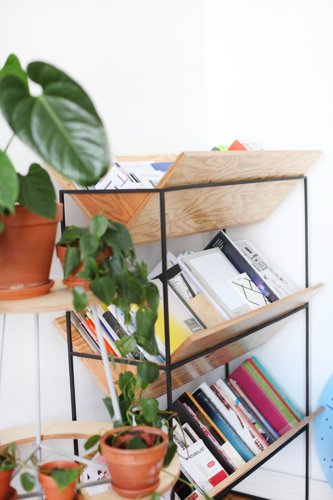 Портрет: Студия Facultative Works