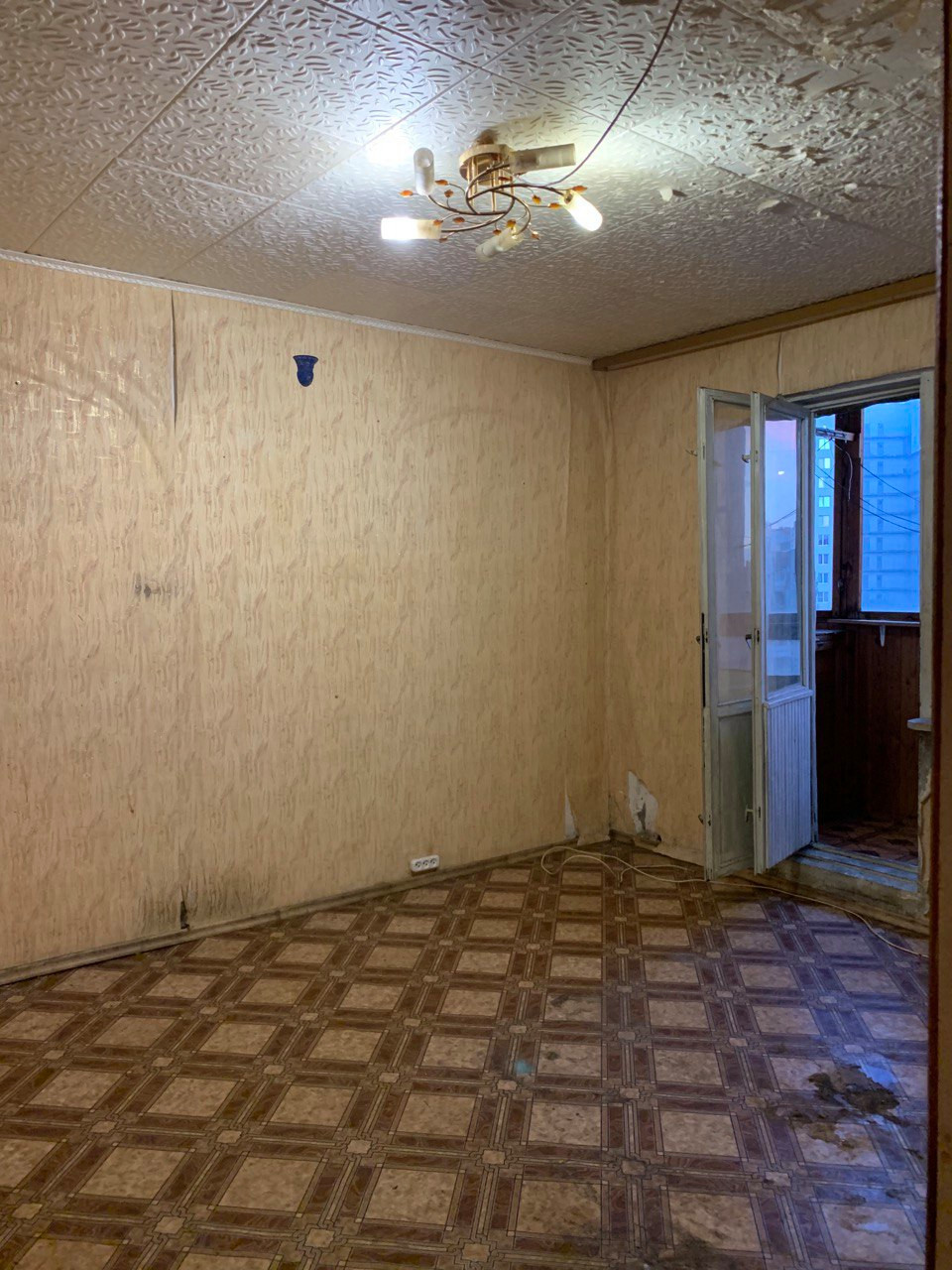 "Гадкий утенок"