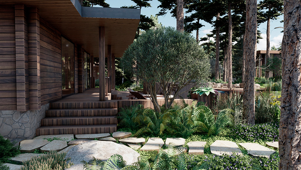 Обложка проекта: Концепция благоустройства и озеленения частной территории с водоёмом