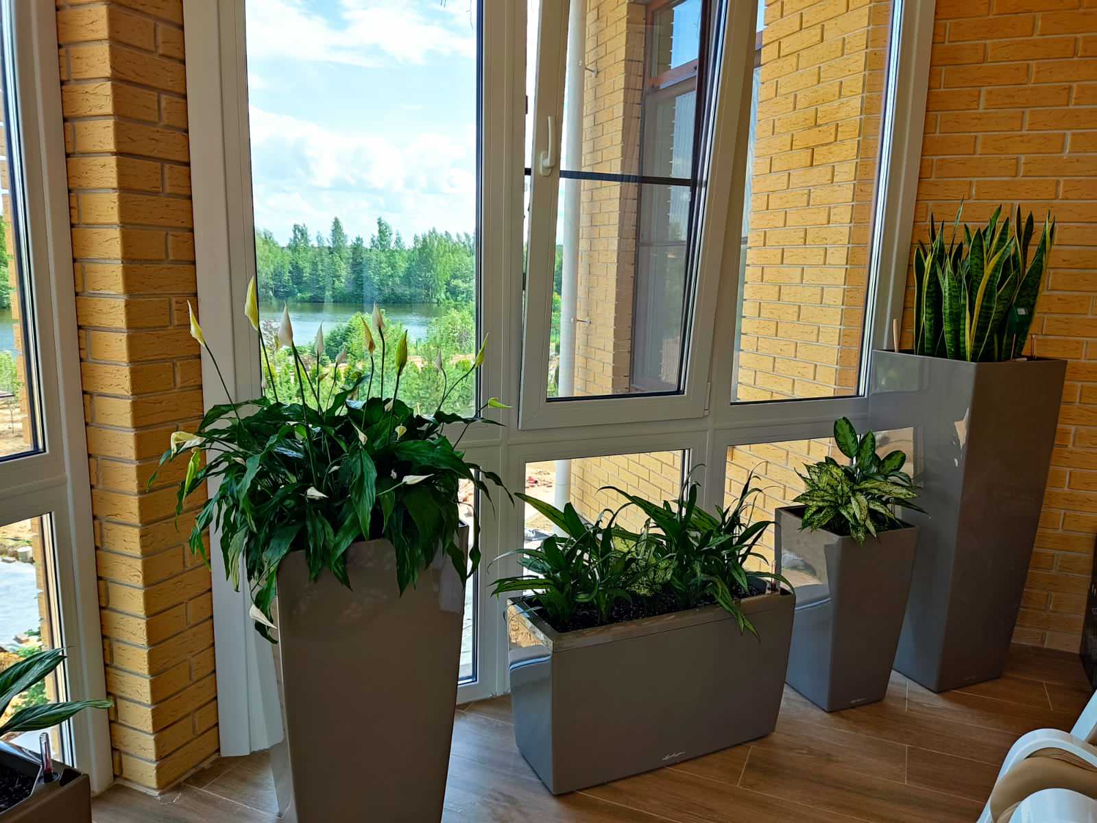 Обложка проекта: Зимний сад