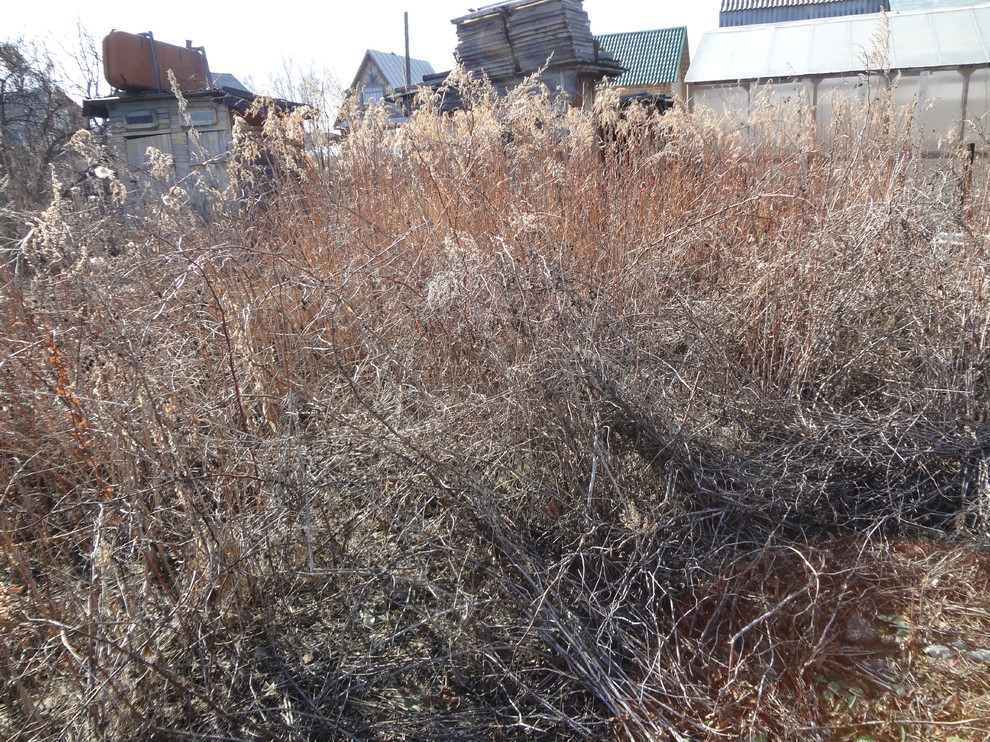 подготовка к сезону . Уход всесезонный