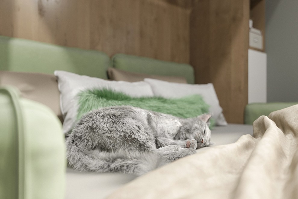 Квартира-студия