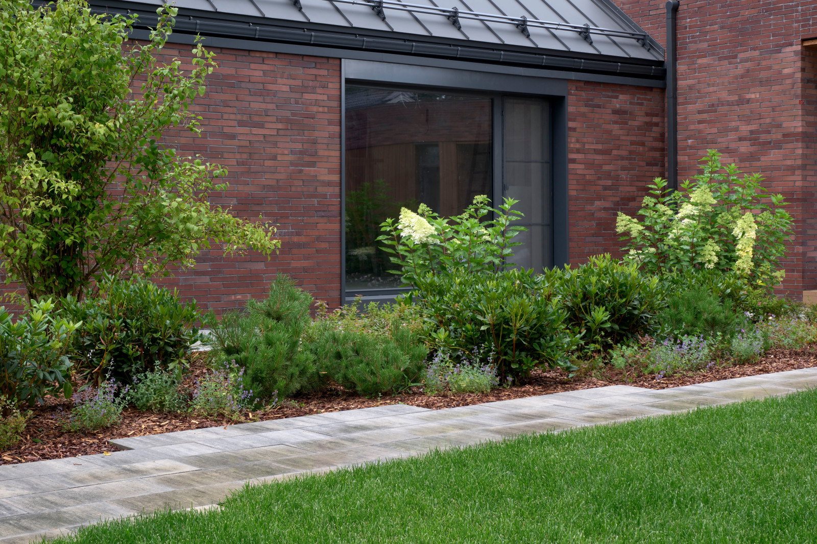 Репино парк