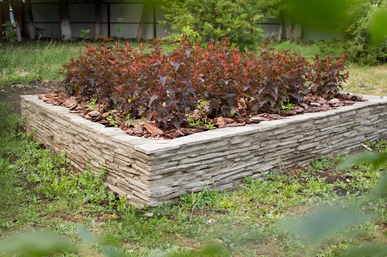 Самара ЛАП №135